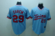 Men's Mitchell and Ness Minnesota Twins #29 Rod Carew Stitched Light Blue Throwback MLB Jersey