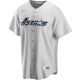 Men's Houston Astros Gold Star Gray Cooperstown Cool Base MLB Jersey