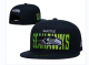 Seattle Seahawks's black cap