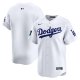 Men's Los Angeles Dodgers Nike White 2024 MLB World Tour Seoul Series Home Limited Jersey